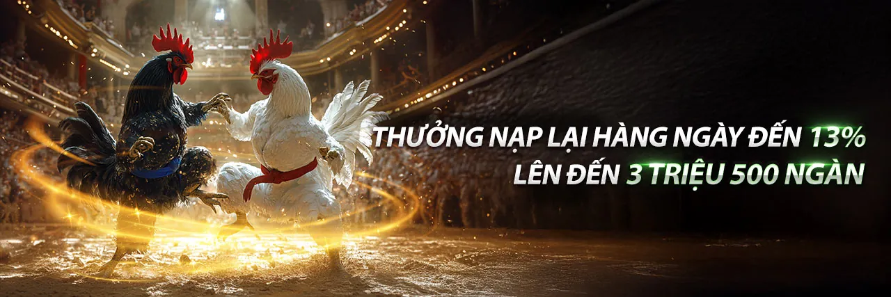 Đá Gà Trực Tiếp Thomo 6/6