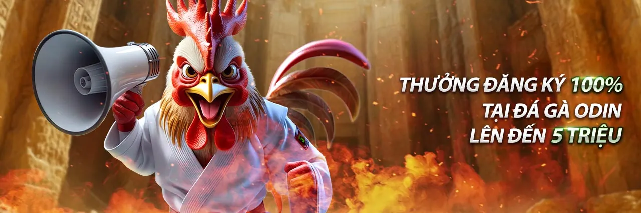 Sân chơi đá gà trực tuyến VP777 với những trận đấu kịch tính